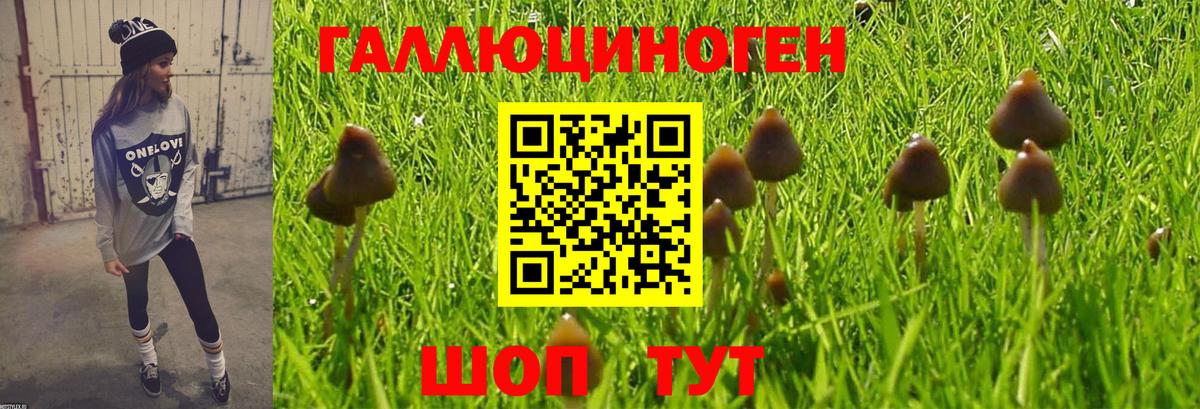 Псилоцибиновые грибы Magic Shrooms Обнинск